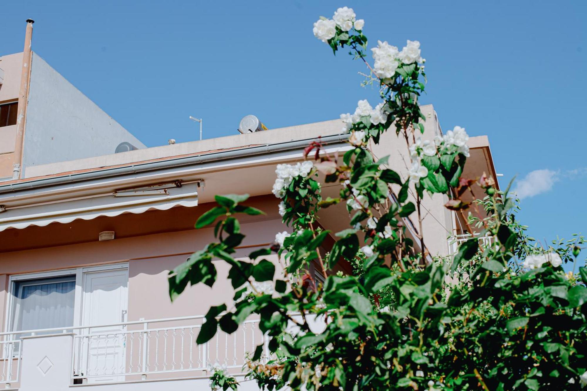 Garden View *