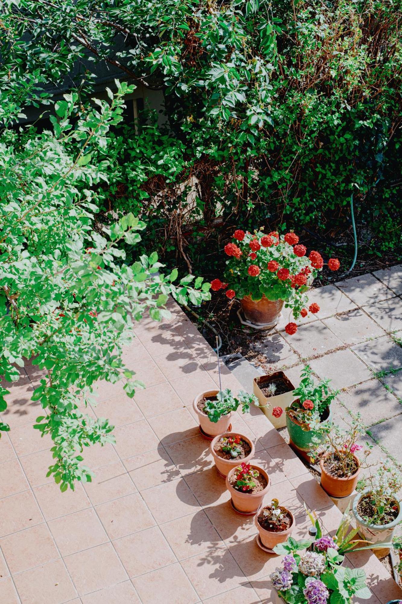 Apartment Garden View *