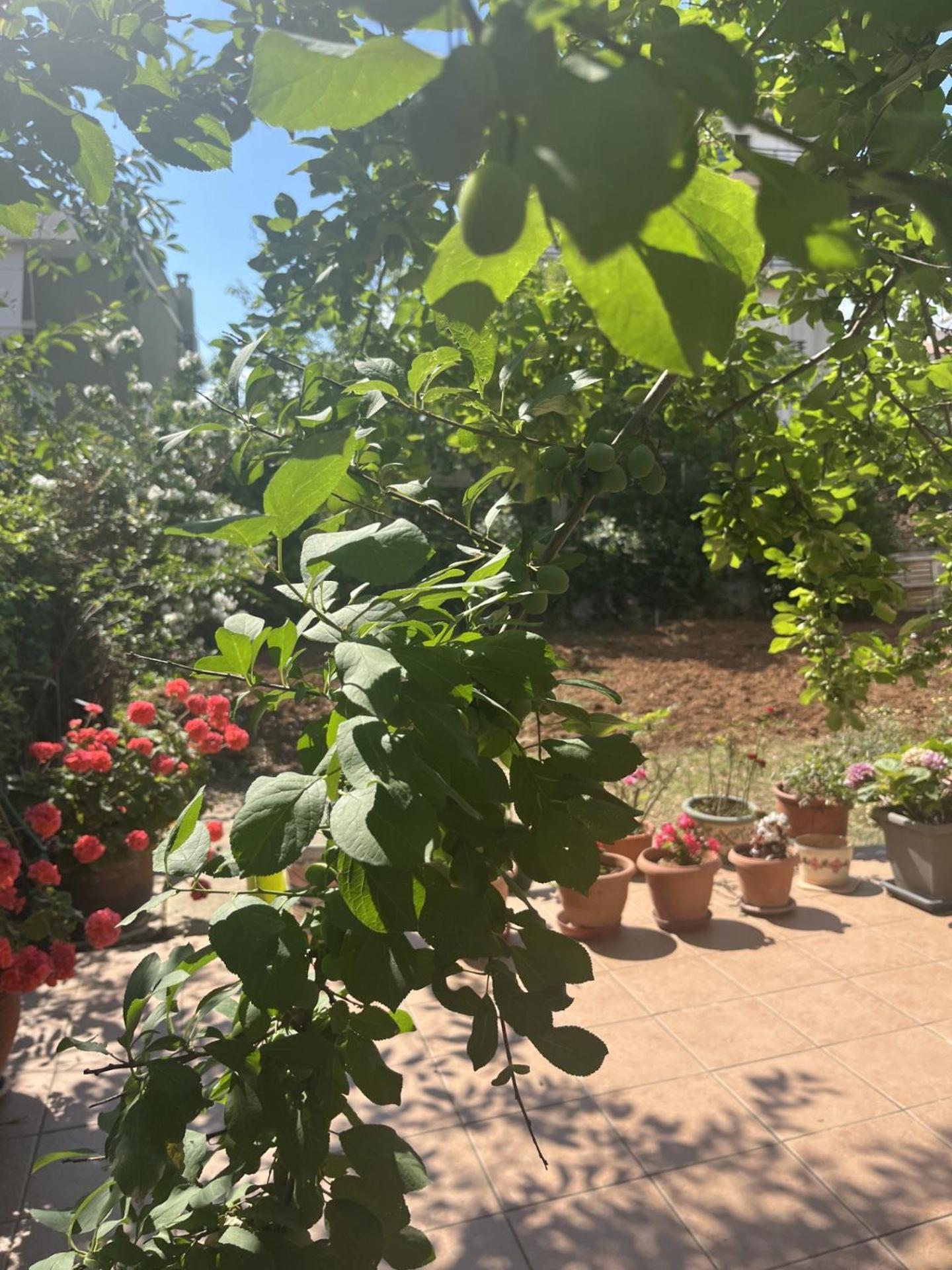 Garden View * Alexandroupoli